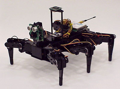 hexapod